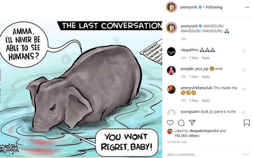 Pregnant elephant celebs reaction
