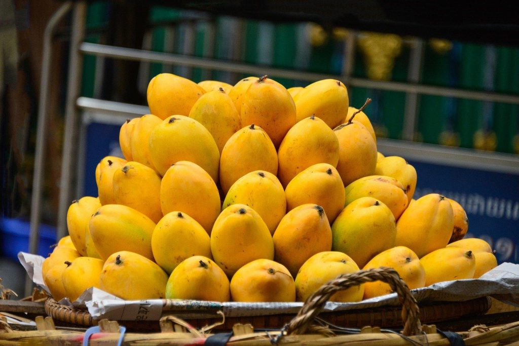 Mango benefits