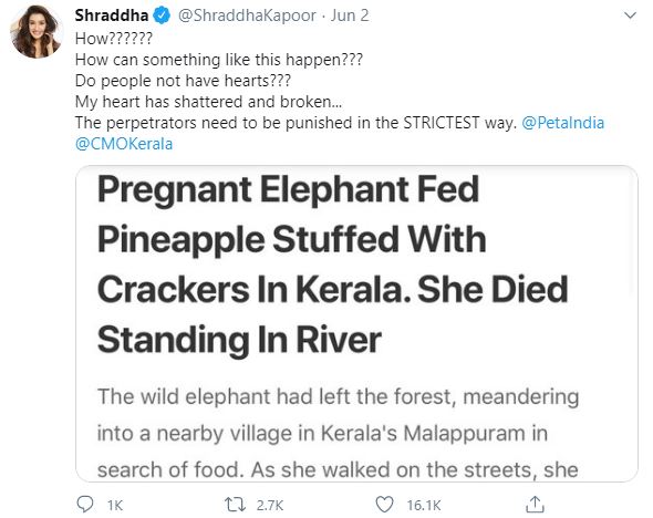 Pregnant elephant celebs reaction