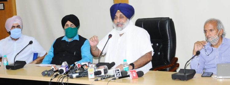 Akali Dal will not shy away from
