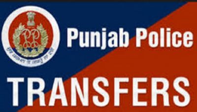 punjab government transfer 80 dsp