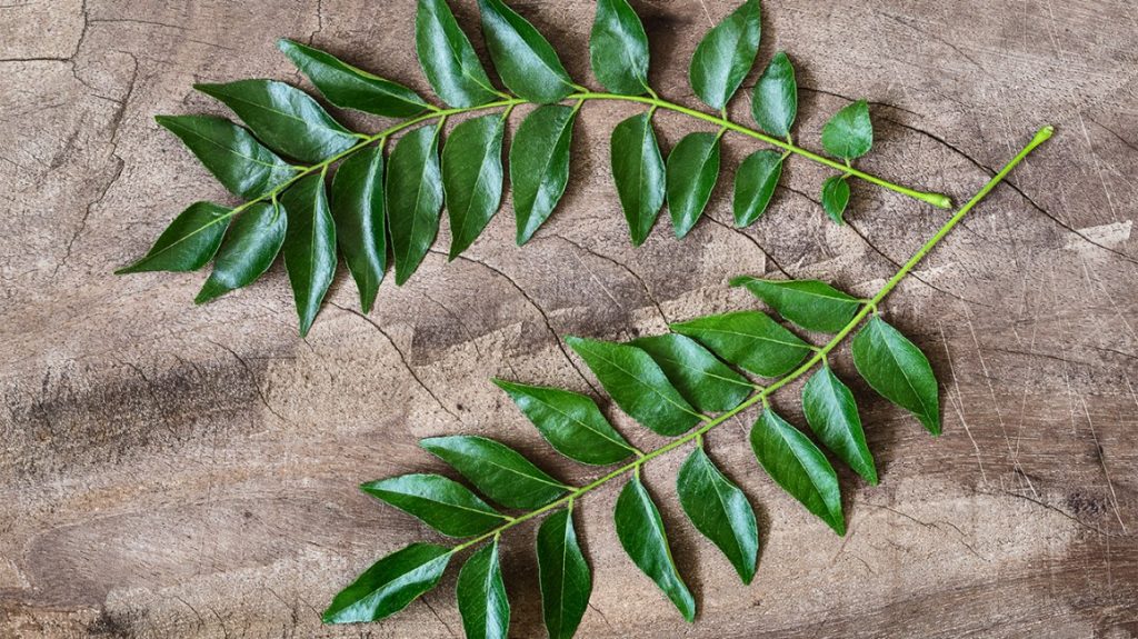 Curry Leaves benefits