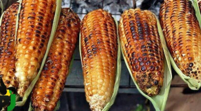 Eat roasted corn