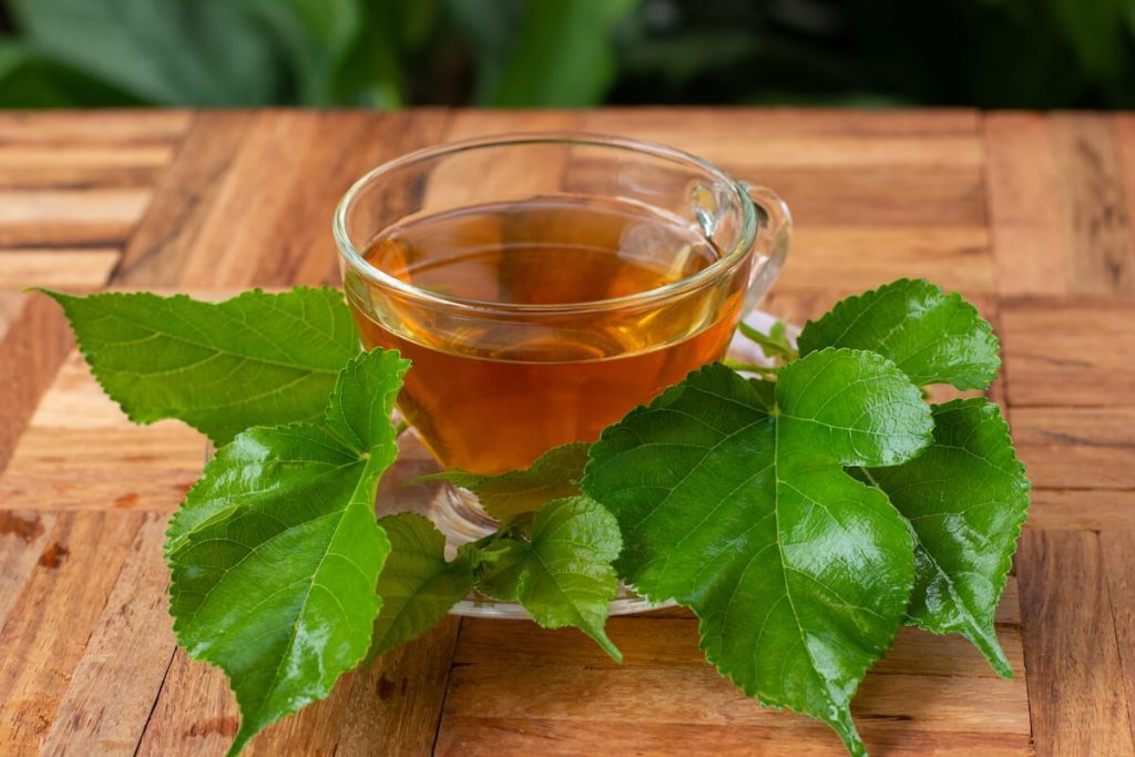 Mulberry leaves tea benefits