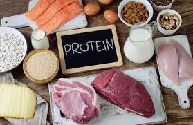 Protein healthy foods