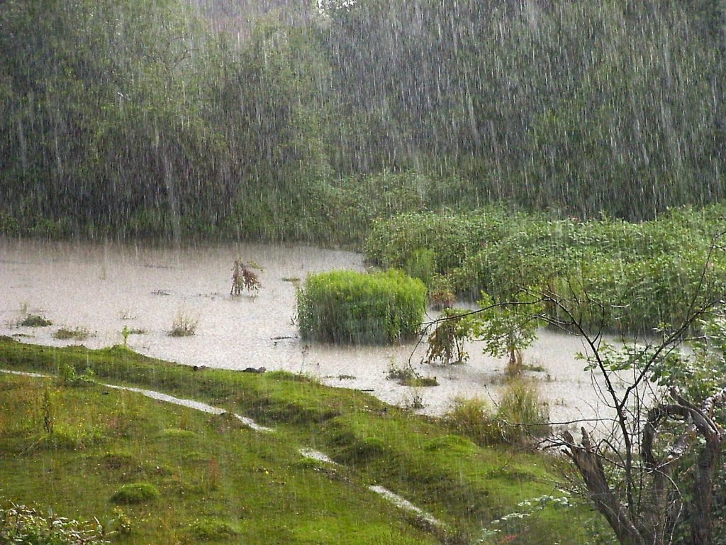 Heavy rains may fall