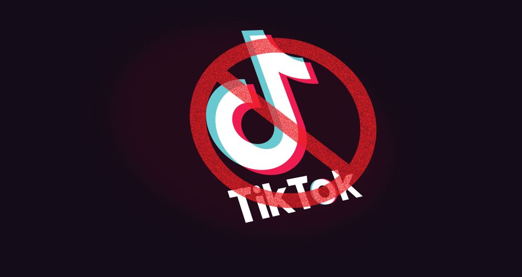 Tiktok loss after banned in india
