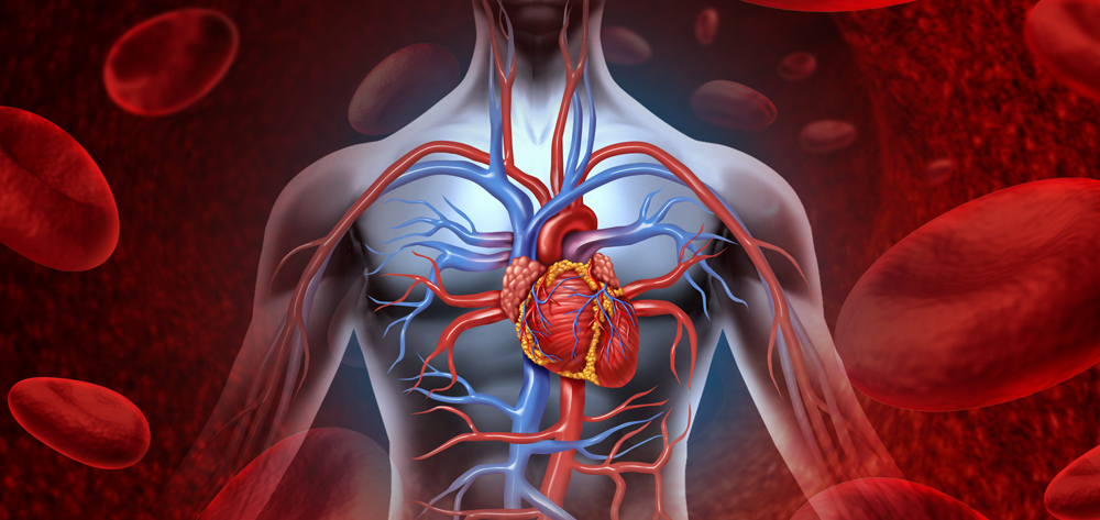 Arteries blockage remedies