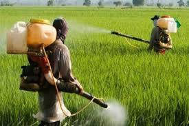 Complete ban on these agrochemicals