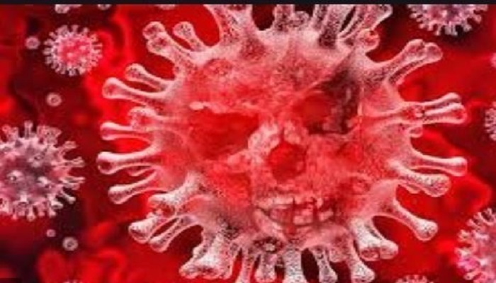 ludhiana coronavirus update