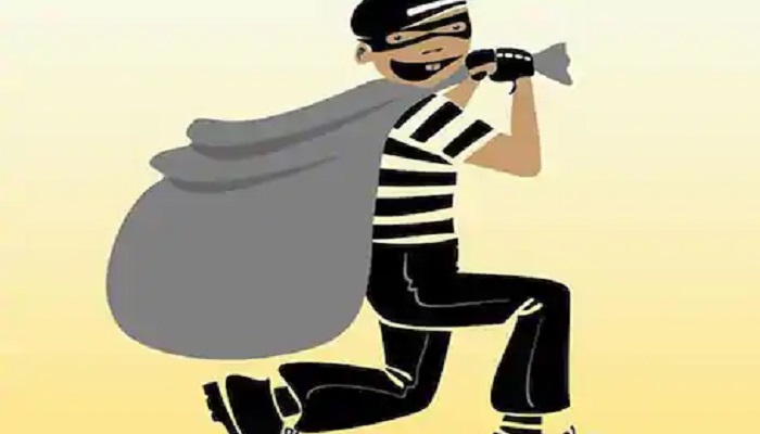Ludhiana thieves home robbery