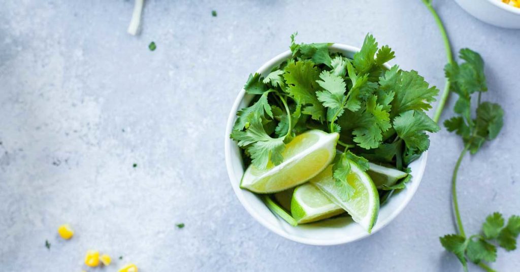 green coriander health benefits