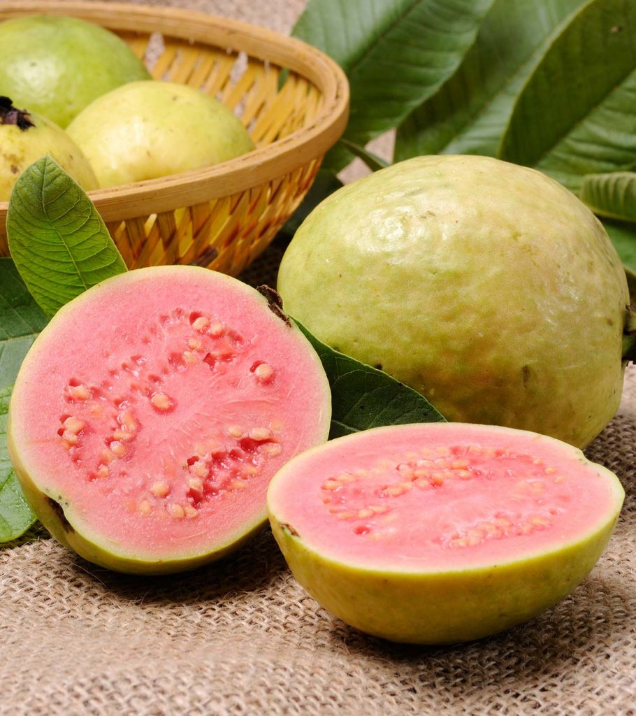 Pregnant women guava