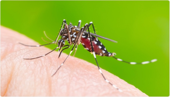 dengue scare corona khanna