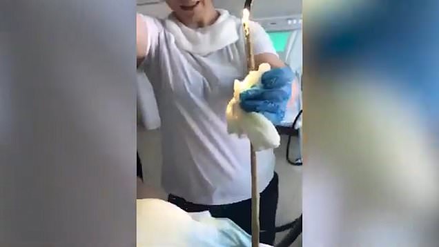 Doctors Pull 4-Feet Snake