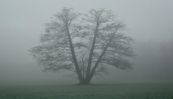 winter season fog khanna