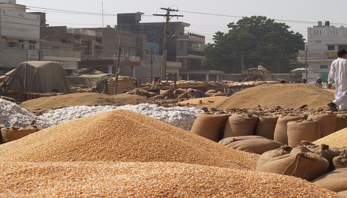 Understand in the language of farmers