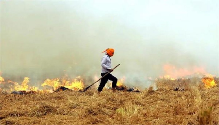 Experts warn against burning straw