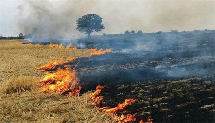 Farmers adamant on burning straw