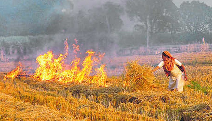 Farmers adamant on burning straw