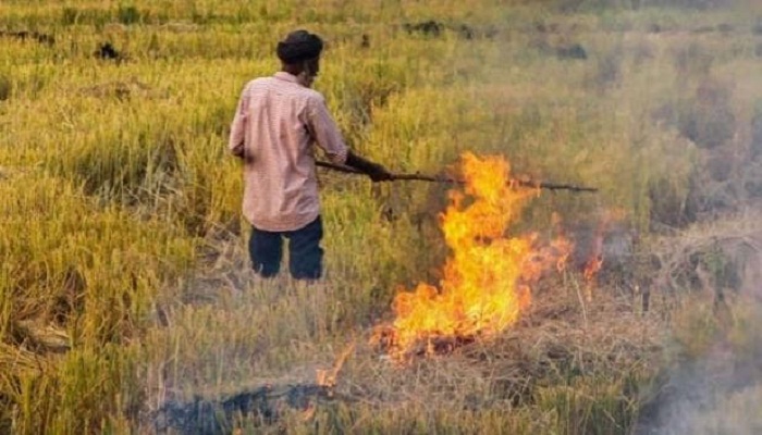 Farmers adamant on burning straw