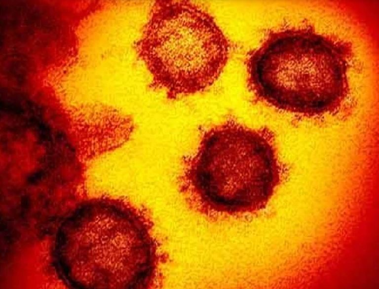 Florida doctors found coronavirus cure