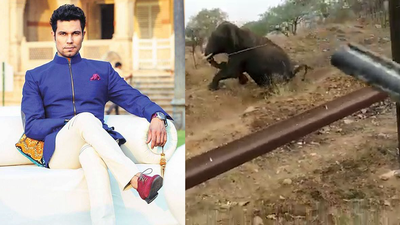 Elephant Video Randeep Hooda