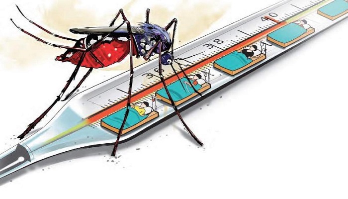 ludhiana increase dengue patients
