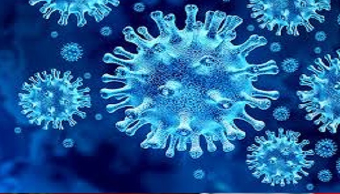 ludhiana coronavirus patients healthy