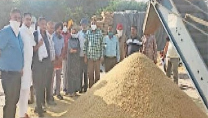 lifting payment crop machhiwara mandi