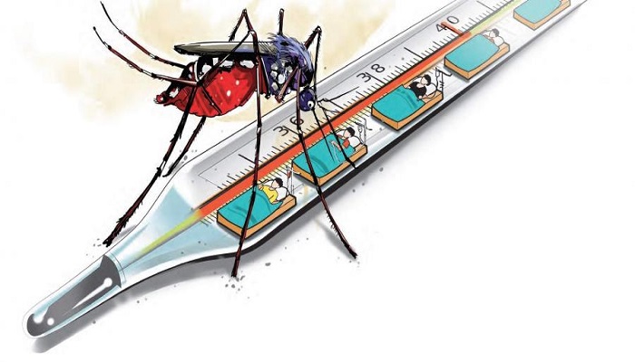 ludhiana dengue patients increase