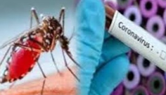 corona patients dengue victims