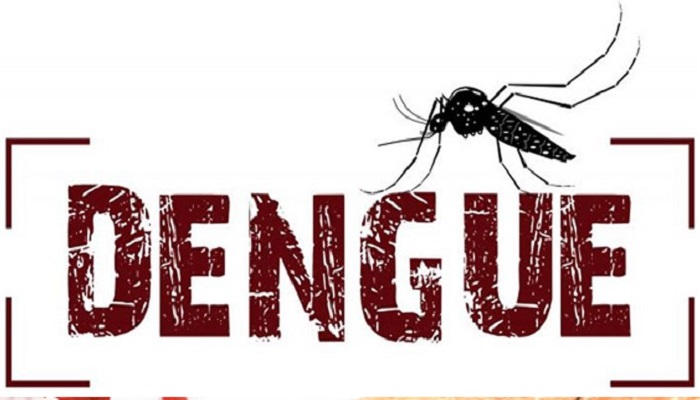 ludhiana dengue positive cases