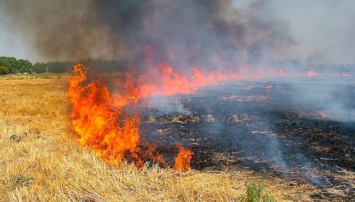 DC warn farmers burn straw