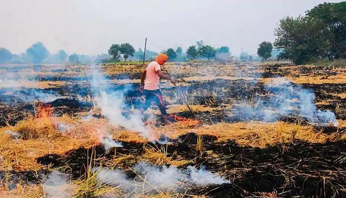 village panchayats burn stubbl resolution