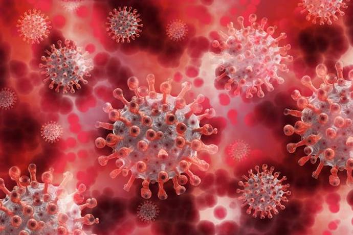 New Study on coronavirus