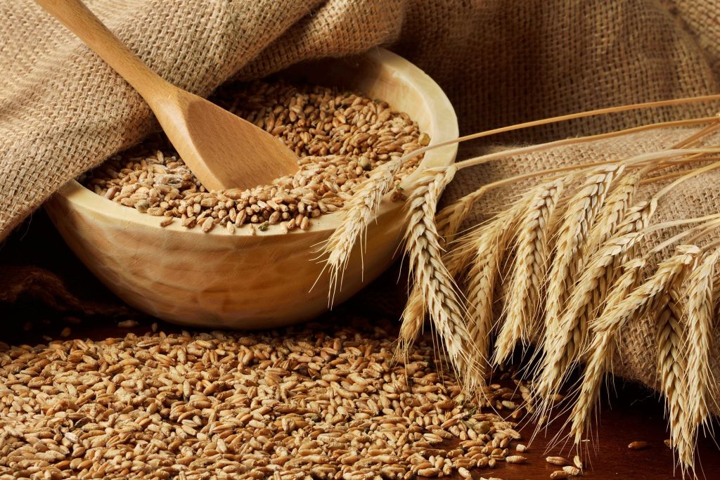 Pakistan Wheat price