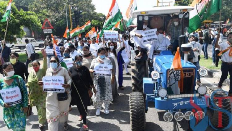 Rahul Gandhi tractor rally