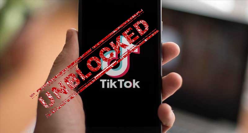 Pakistan unblock social media app TikTok