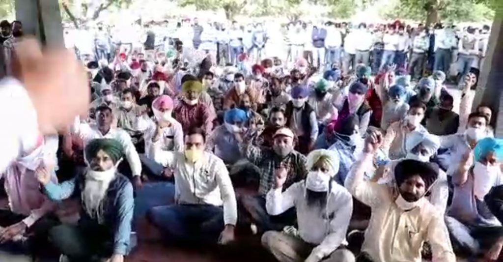 punjab agriculture university employees protest