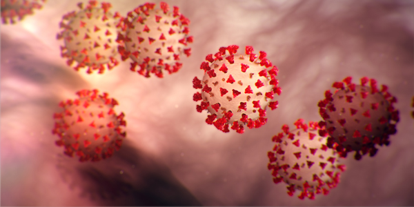 coronavirus recovered patients