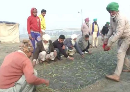 kisan andolan farmer growing crops