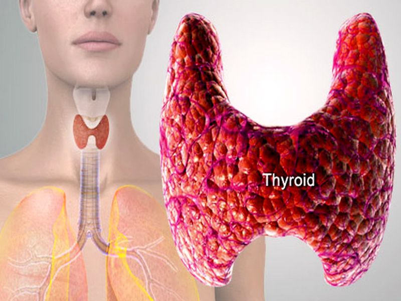Thyroid health diet