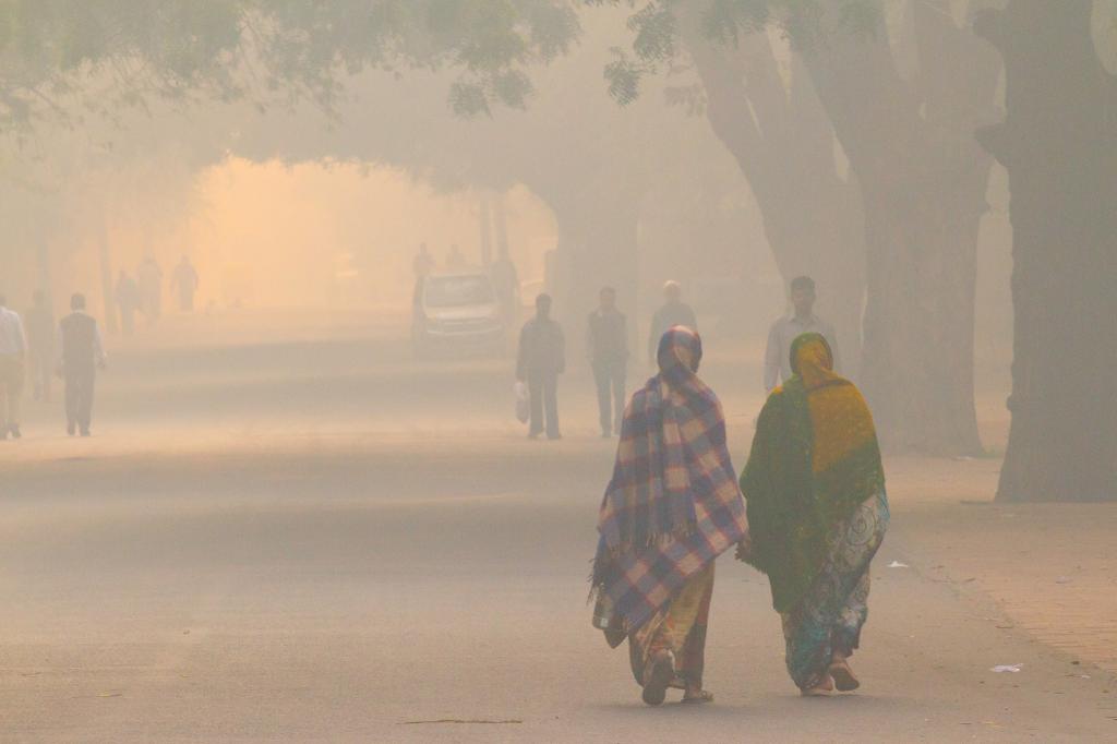 Delhi Fog and poor wind