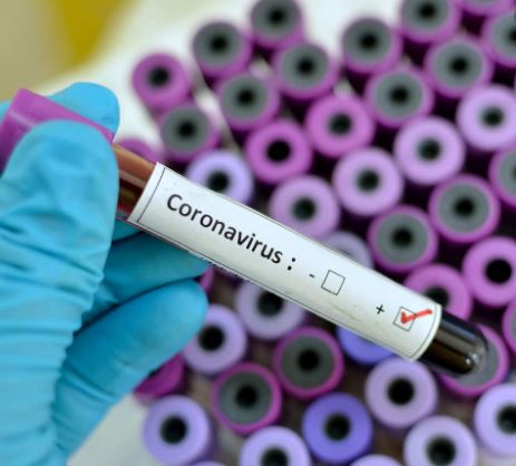 ludhiana coronavirus positive patients