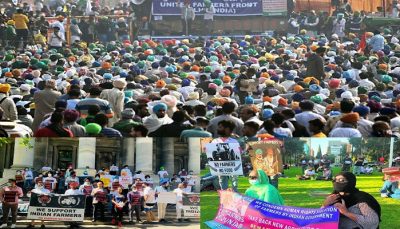 Farmers spot protest sydney