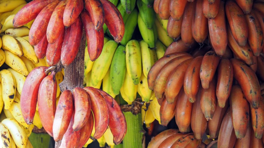 Red Banana benefits