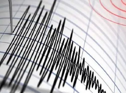 magnitude earthquake shakes