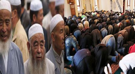 Muslim population doubling