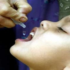 Polio national immunisation day postpone